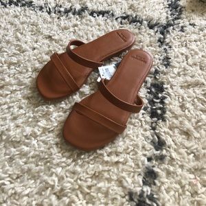Abercrombie and Fitch sandals